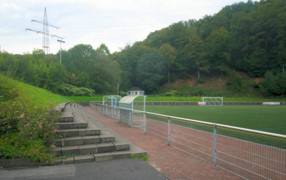 Reineckestadion