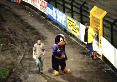 Maskottchen Beerschot