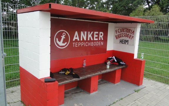 Sportplatz an der Festhalle Kunstrasen