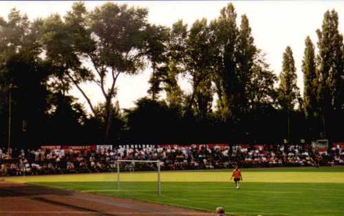 Jahnstadion - Fortuna-Fans