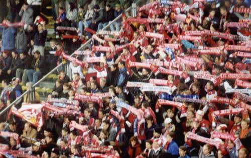 Westfalenstadion - Kaiserlautern-Fans