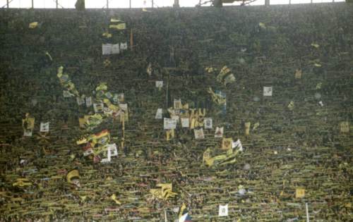 Westfalenstadion - Heimfans