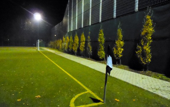 Dreizehnlindenstadion Kunsrasen Alt