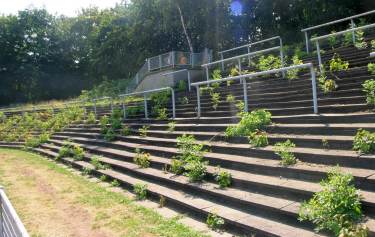 Südstadion - Stufen mit 'Begrünung'