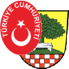 Türkischer SV Halver