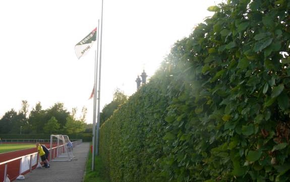 Stadion Walkenfeld - Gegenseite