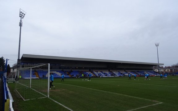 Moss Rose