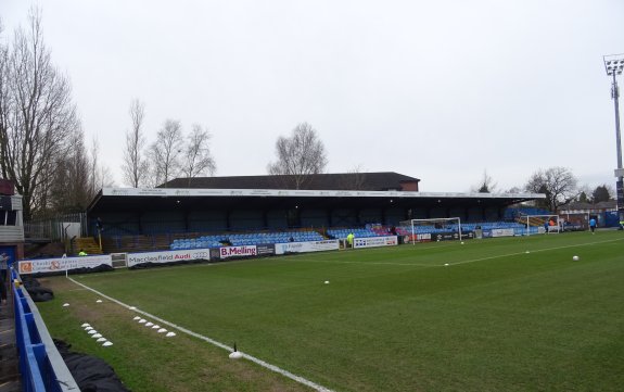 Moss Rose