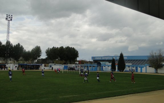 Ciudad Deportiva de Maracena, Cesped Natural