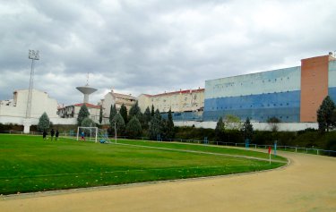 Ciudad Deportiva de Maracena, Cesped Natural