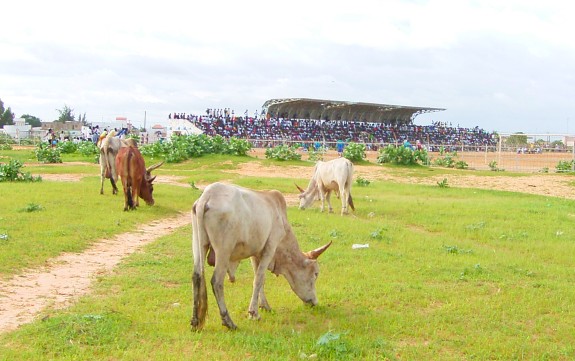 Stade Caroline Faye