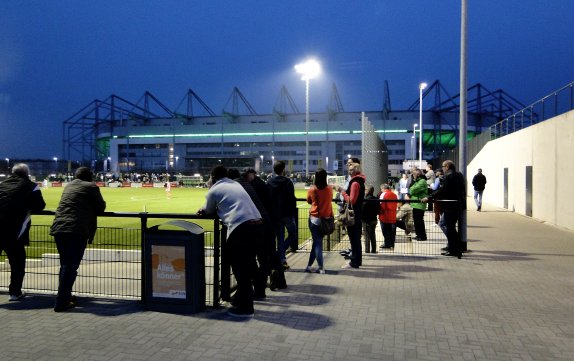 Fohlenplatz am Borussia-Parn 