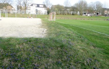 Borussen-Stadion an der Grevingstraße