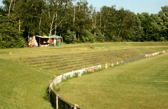 Münchfeldstadion