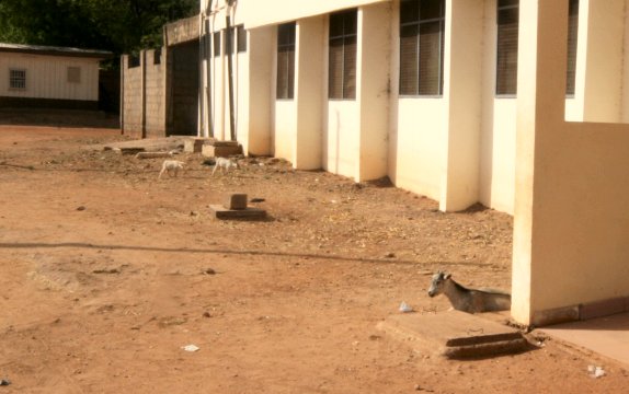 Typische Großstadtstraße (Tamale)