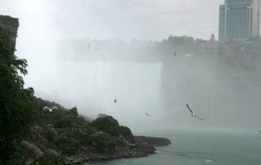 Die Niagaraf�lle