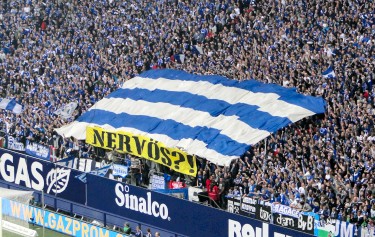 Arena AufSchalke