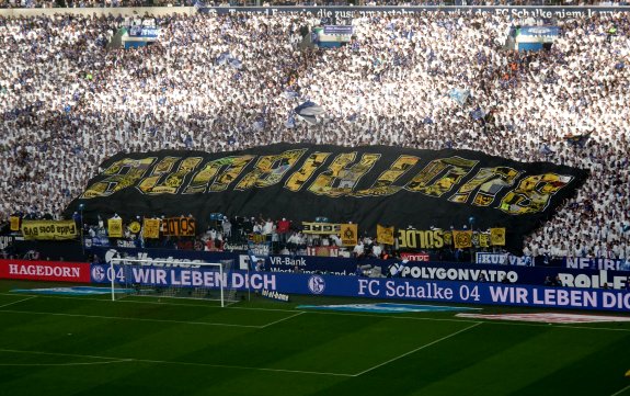 Arena AufSchalke