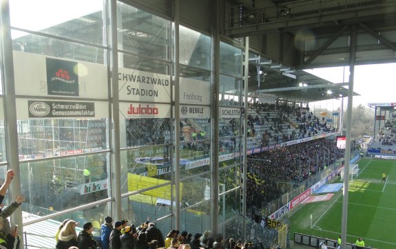 Dreisamstadion