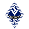 SV Waldhof