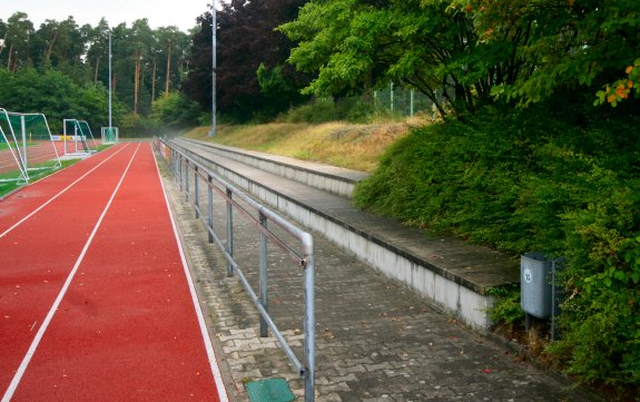 Waldstadion