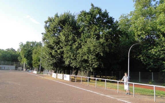 Sportplatz Wilhelmstra&szlig;e